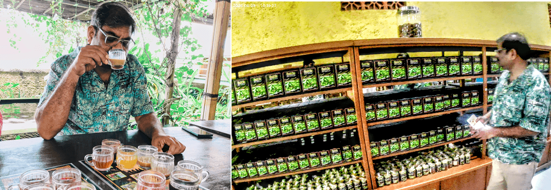 What a Balinese coffee plantation taught me about the future of food manufacturing