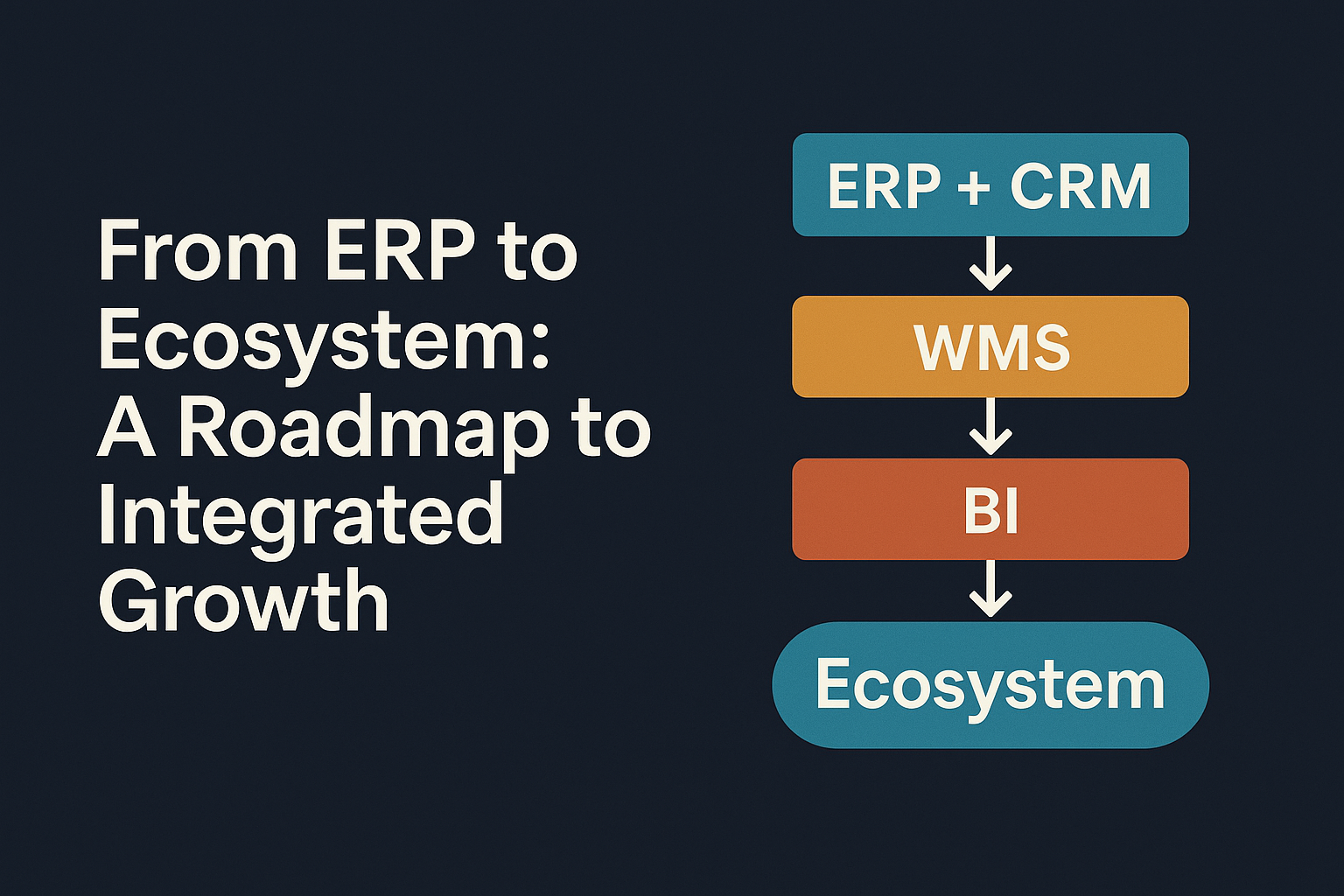 From ERP to Ecosystem: A Roadmap to Integrated Growth